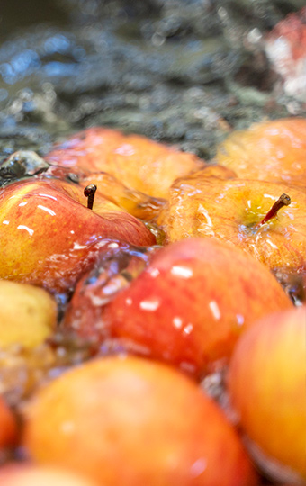 地元農園で収穫されたりんごを厳選して加工